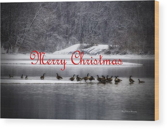 Christmas Wood Print featuring the photograph Merry Christmas Canadian Geese by Mary Walchuck