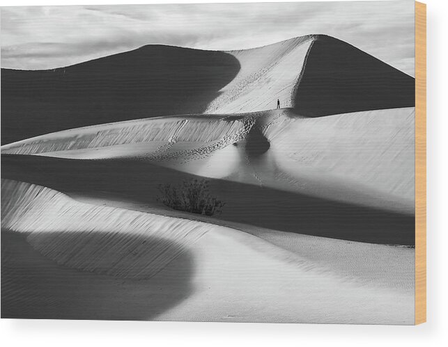 American Landscape Wood Print featuring the photograph Lone Hiker on Dunes bw by Jonathan Nguyen
