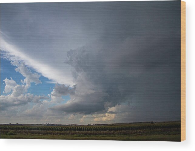 Nebraskasc Wood Print featuring the photograph Mid August Nebraska Stormscapes 014 by Dale Kaminski