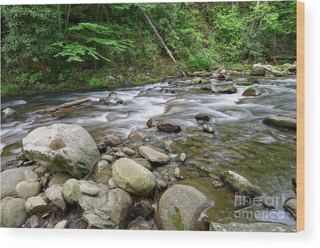 Middle Prong Little River Wood Print featuring the photograph Middle Prong Little River 29 by Phil Perkins