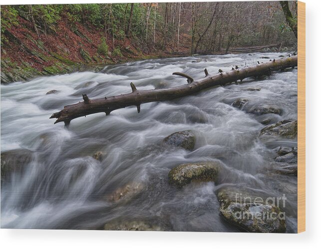 Middle Prong Little River Wood Print featuring the photograph Middle Prong Little River 53 by Phil Perkins