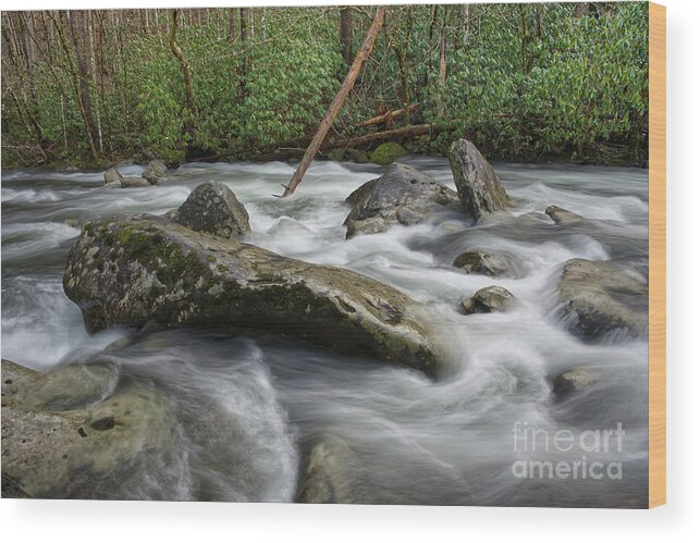 Middle Prong Little River Wood Print featuring the photograph Middle Prong Little River 56 by Phil Perkins
