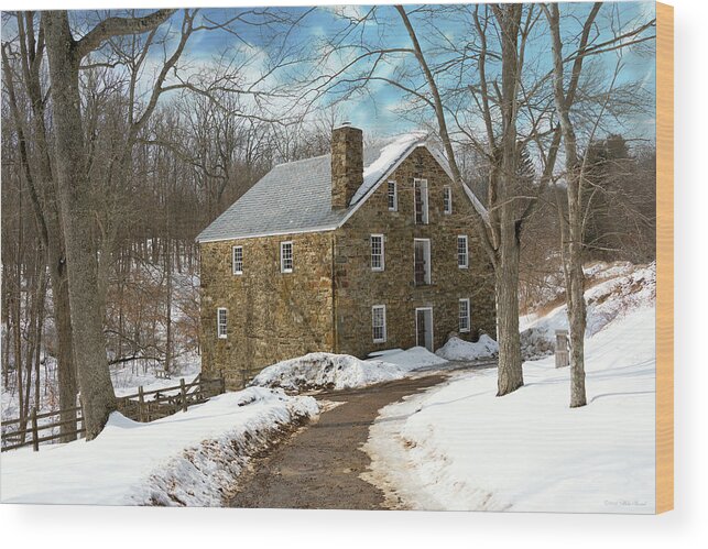 Morris County Wood Print featuring the photograph Mill - Cooper grist mill by Mike Savad