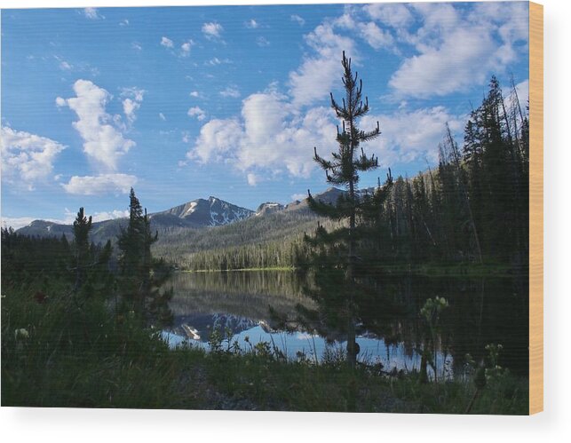 Lake Wood Print featuring the photograph Mirrored view by Yvonne M Smith
