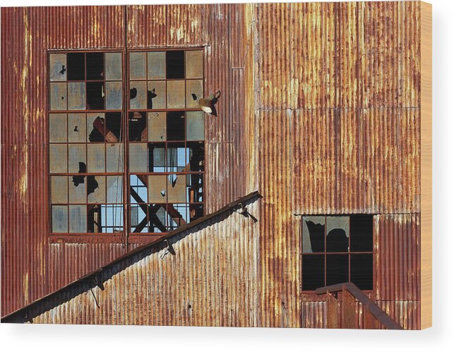 Missouri Wood Print featuring the photograph Missouri Mines State Historic Site I by Robert Charity