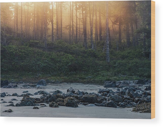 Mist Wood Print featuring the photograph Misty morning at the Beach by Naomi Maya
