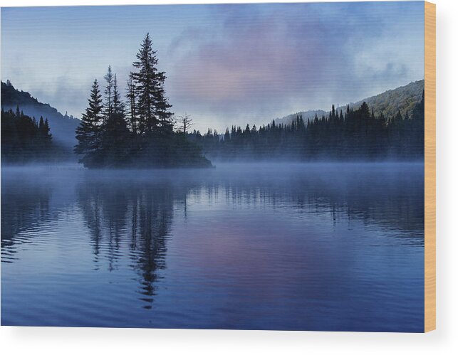 Mont Wood Print featuring the photograph Misty Morning by Mircea Costina Photography