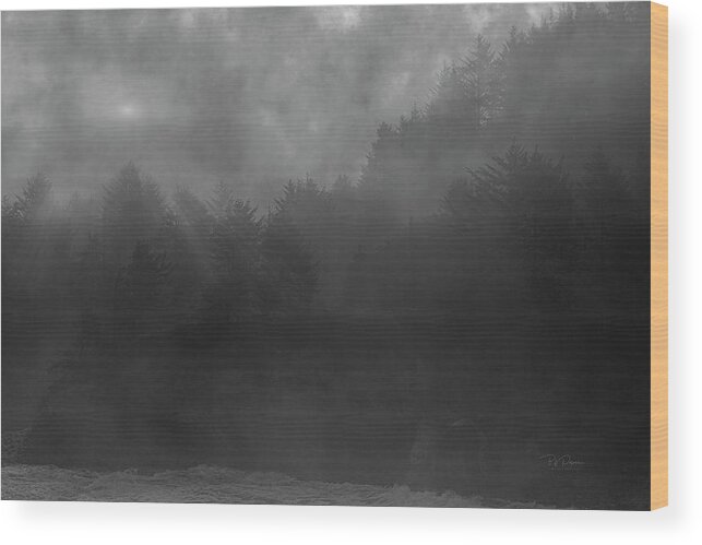 Oregon Coast Wood Print featuring the photograph Misty Oregon Coast by Bill Posner