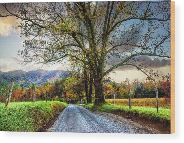 Cades Wood Print featuring the photograph Misty Sparks Lane by Debra and Dave Vanderlaan