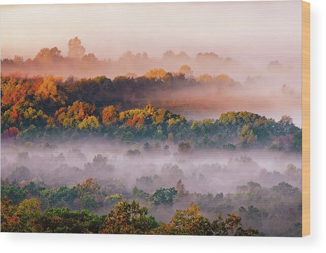 Hughes Mountain Conservation Area Wood Print featuring the photograph Misty Valley by Robert Charity