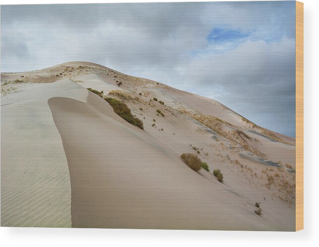 Mojave Desert Wood Print featuring the photograph Mojave Desert Kelso Sand Dunes by Kyle Hanson