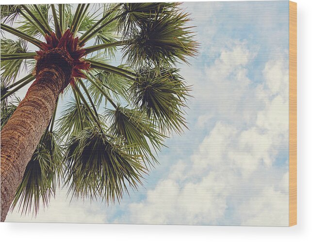 Monaco Wood Print featuring the photograph Monaco Palm by Melanie Alexandra Price