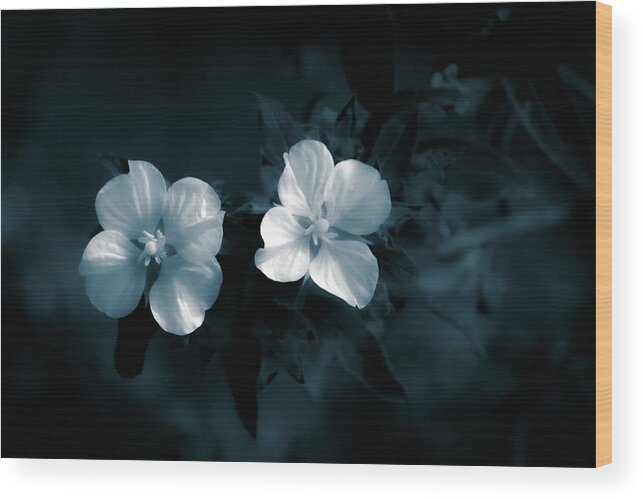 Floral Wood Print featuring the photograph Monochrome Duo by Mireyah Wolfe
