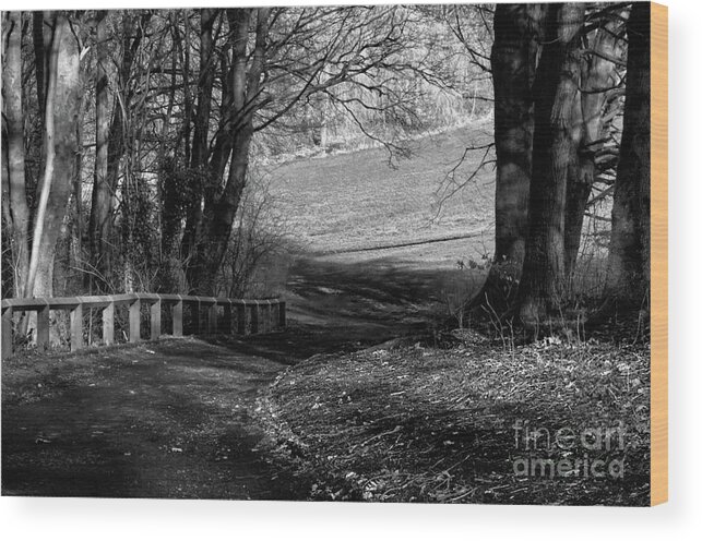 Monochrome Wood Print featuring the photograph Monochrome-Finding your own way by Pics By Tony