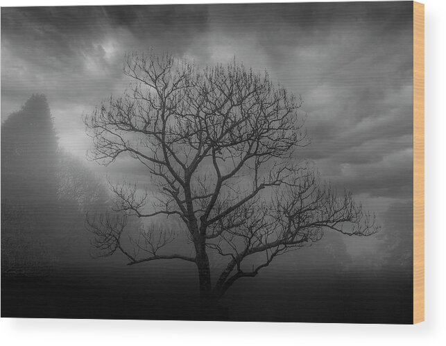 Mist Wood Print featuring the photograph Moody Tree by Chris Boulton