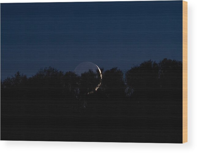 Photography Wood Print featuring the photograph Moon in the treetops. by Evan Foster