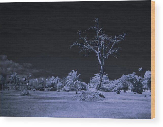 Infrared Photography Wood Print featuring the photograph Moonlight Over Frozen Tundra by Gian Smith