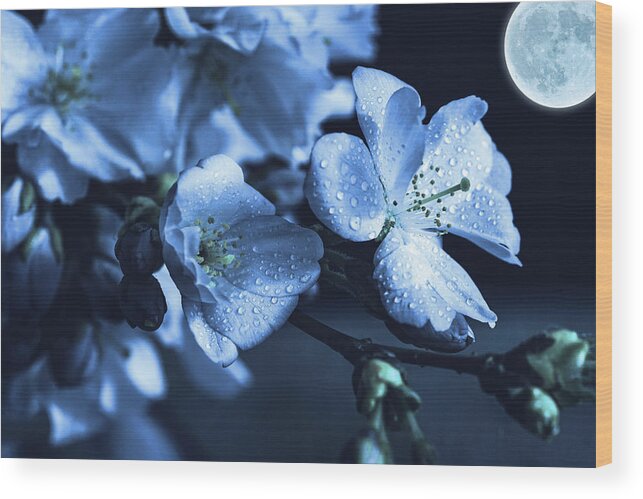Moonlight Wood Print featuring the photograph Moonlit Night In The Blooming Garden by Alex Mir