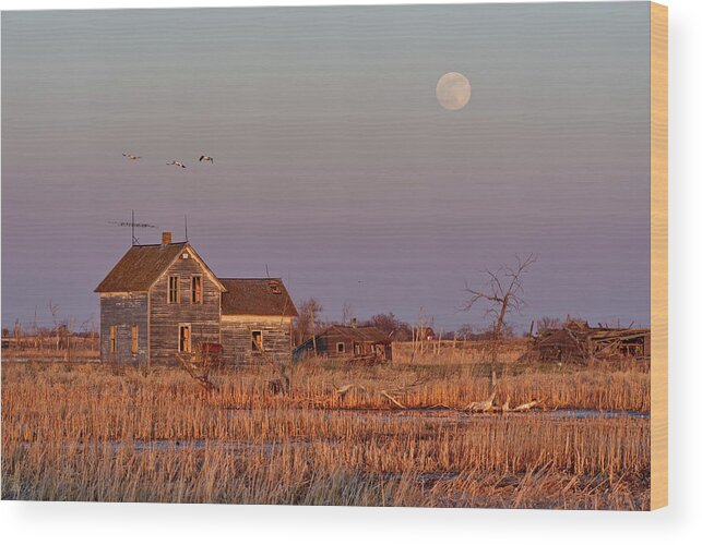 Moonrise Wood Print featuring the photograph Moonrise over Maynards - Abandoned ND farm flooded out in sunset light with full moon rising by Peter Herman