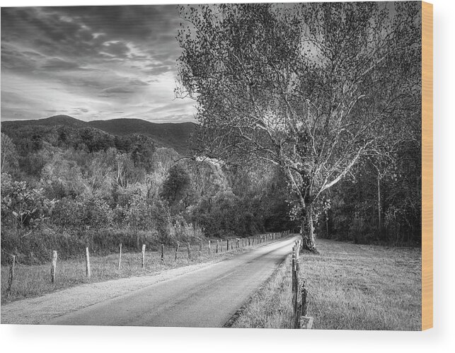 Cades Wood Print featuring the photograph Morning Along Sparks Lane at Cades Cove Black and White by Debra and Dave Vanderlaan