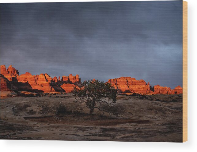 Wood Print featuring the photograph Morning Canyon Glow by Kelly VanDellen