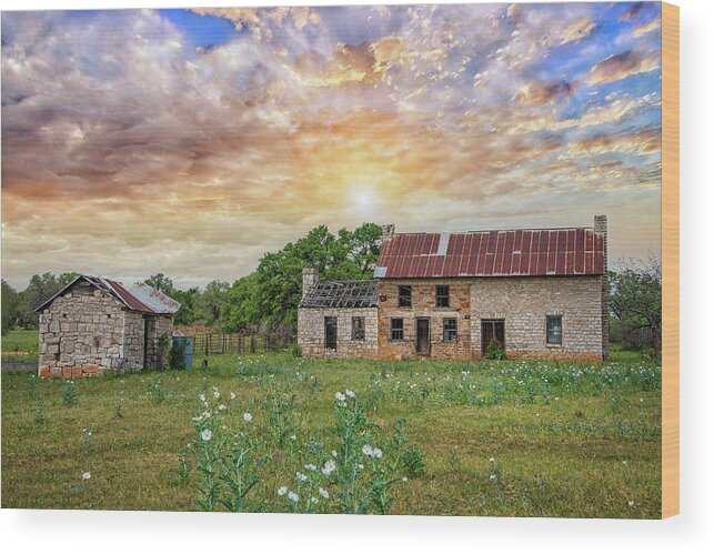 Texas Hill Country Wood Print featuring the photograph Morning Glory at the Bluebonnet House by Lynn Bauer