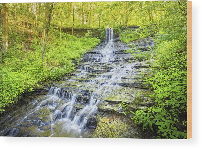 Fall Hollow Wood Print featuring the photograph Morning Glow by Jordan Hill