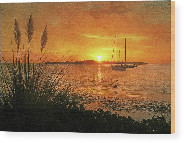 Tropical Sunrise Wood Print featuring the photograph Morning Light - Florida Sunrise by HH Photography of Florida