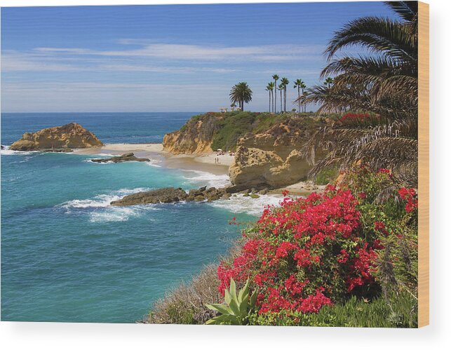 Laguna Beach Wood Print featuring the photograph Morning Light Montage Resort Laguna Beach by Cliff Wassmann