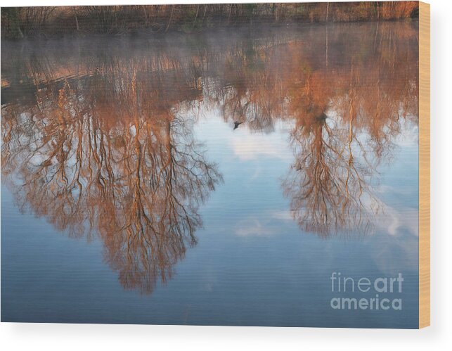 Birkdale Village Pond Wood Print featuring the photograph Morning Mist by Amy Dundon