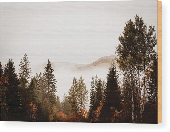 Canada Wood Print featuring the photograph Morning Mist by Carmen Kern