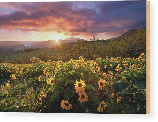 Landscape Flowers Morning Sunrise Clouds Sunlight Light Rays Wood Print featuring the photograph Morning Rays by Andrew Kumler