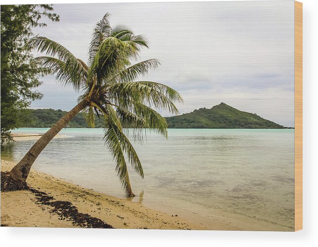 Palm Wood Print featuring the photograph Motu Palm by Craig A Walker