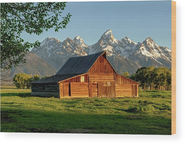 Barn Wood Print featuring the photograph Moulton Barn at Grand Teton by Jack Bell