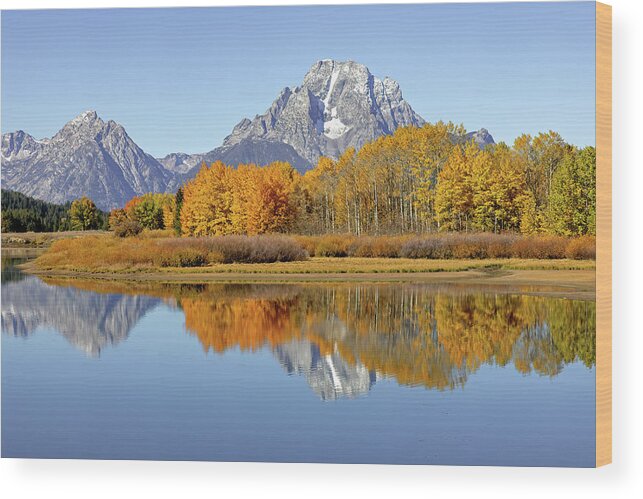 Fall Wood Print featuring the photograph Mount Moran in Autumn by Jack Bell