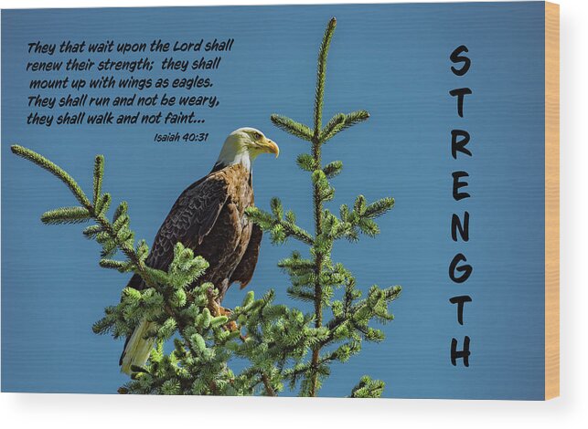 American Bald Eagle Wood Print featuring the photograph Mount Up With Wings by Marcy Wielfaert