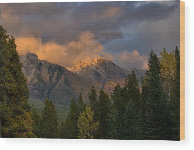 Banff Wood Print featuring the photograph Banff Mountain Light At Sunset by Stephen Vecchiotti