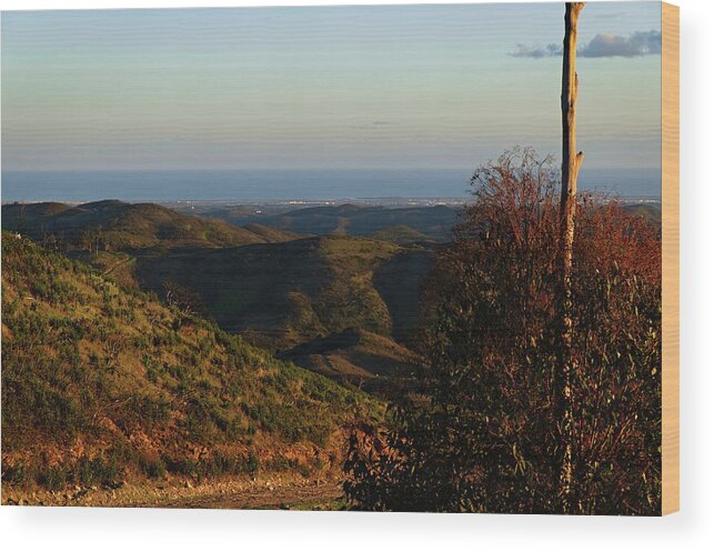 Mountains Wood Print featuring the photograph Mountain Spot by Angelo DeVal