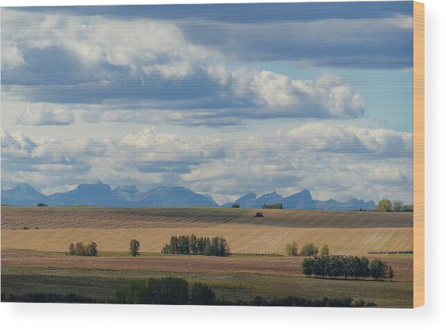 Mountains Wood Print featuring the photograph Mountains And Wheat Land by Phil And Karen Rispin