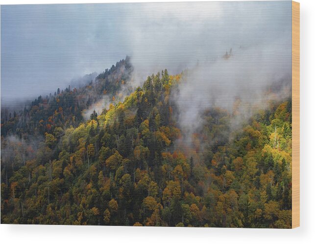 Mountain Wood Print featuring the photograph Mountainside by Jamie Tyler