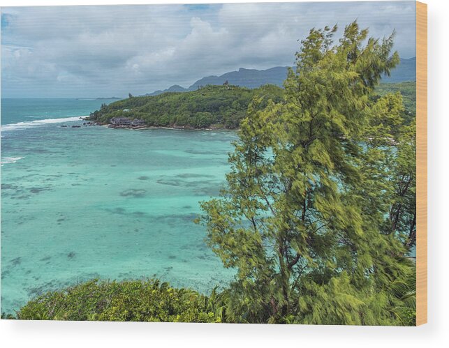 Moyenne Island Wood Print featuring the photograph Moyenne Island, Seychelles by Dubi Roman