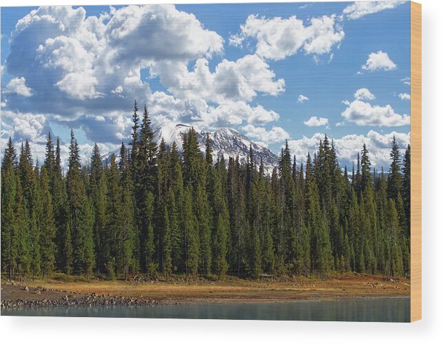 Mountain Wood Print featuring the photograph Mt Bachelor by Loyd Towe Photography