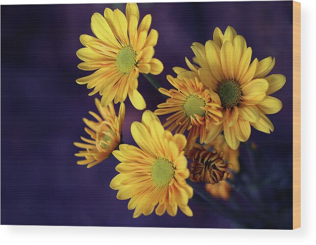 Flowers Wood Print featuring the photograph Mums Yellow Bunch by Vanessa Thomas