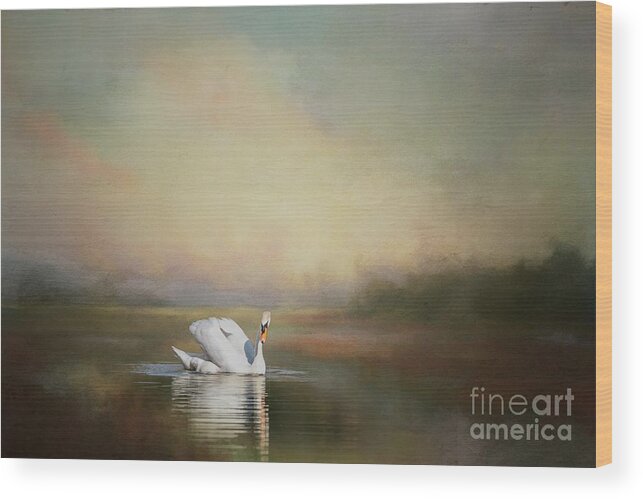 Mute Swan Wood Print featuring the photograph Mute Swan Swimming by Eva Lechner