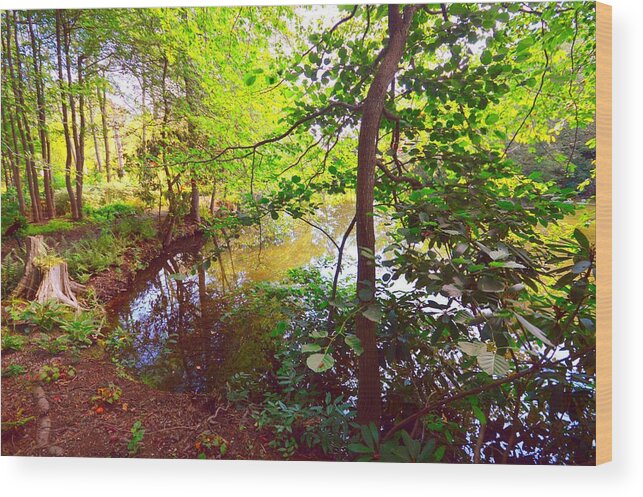 Pond View Wood Print featuring the photograph My Summer Pond by Stacie Siemsen