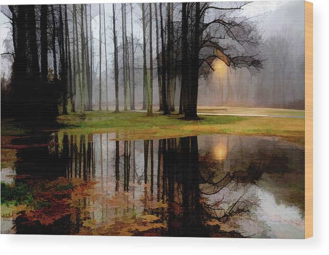 Carolina Wood Print featuring the photograph Mysterious Forest Reflections Abstract Painting by Debra and Dave Vanderlaan