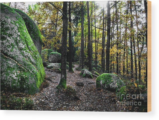 Abandoned Wood Print featuring the photograph Mystic Landscape Of Nature Park Blockheide With Granite Rock Formations In Waldviertel In Austria by Andreas Berthold
