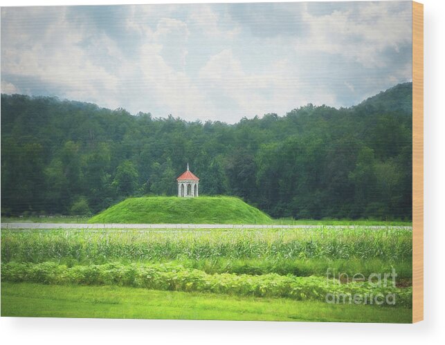 Nacoochee Wood Print featuring the photograph Nacoochee Indian Mound by Amy Dundon