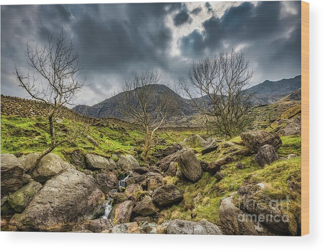 Nant Peris Wood Print featuring the photograph Nant Peris Snowdonia Wales by Adrian Evans