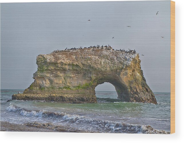 California Wood Print featuring the photograph Natural Bridges by Tom Kelly